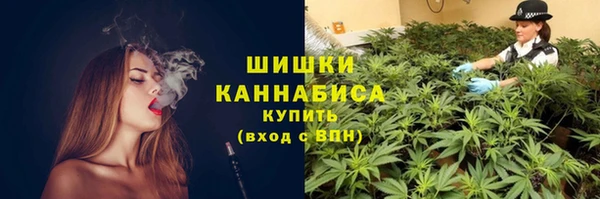 ГАЛЛЮЦИНОГЕННЫЕ ГРИБЫ Арсеньев