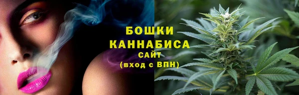 ГАЛЛЮЦИНОГЕННЫЕ ГРИБЫ Арсеньев
