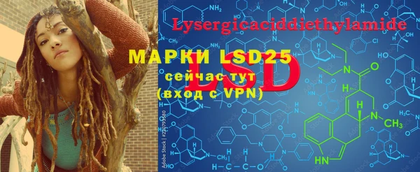 ГАЛЛЮЦИНОГЕННЫЕ ГРИБЫ Арсеньев