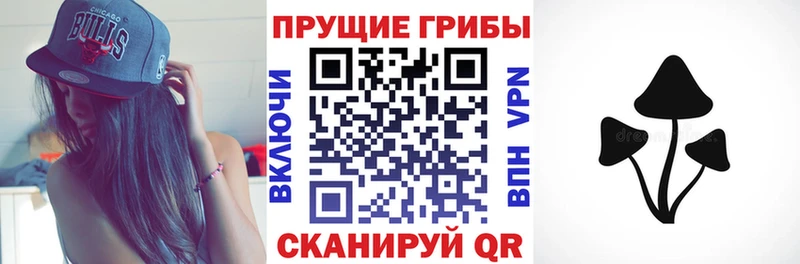 Галлюциногенные грибы GOLDEN TEACHER Бологое